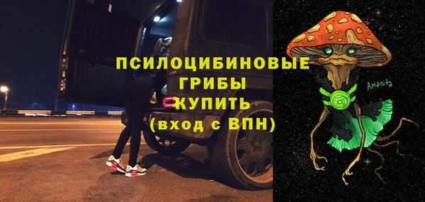 ГАЛЛЮЦИНОГЕННЫЕ ГРИБЫ Орехово-Зуево