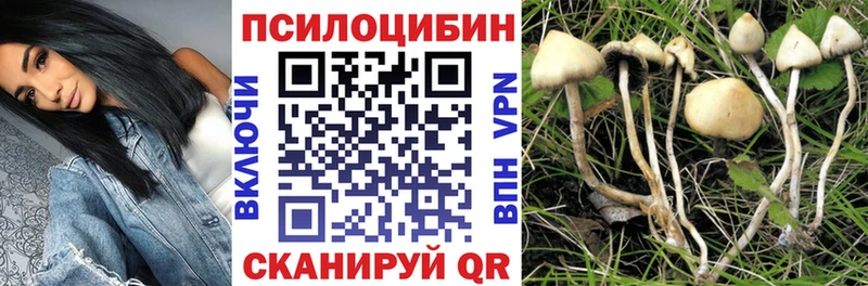Галлюциногенные грибы Psilocybine cubensis  где купить наркотик  Бирюч 